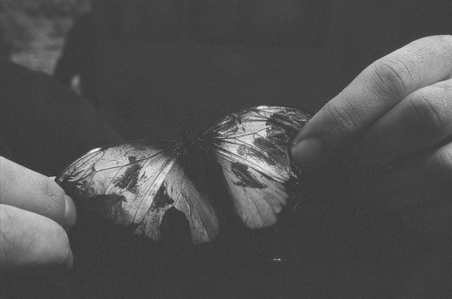 black-and-white-bloodylittlekisses-butterfly-depressing-sad-favim-com-241410